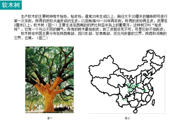 软木工艺品款式